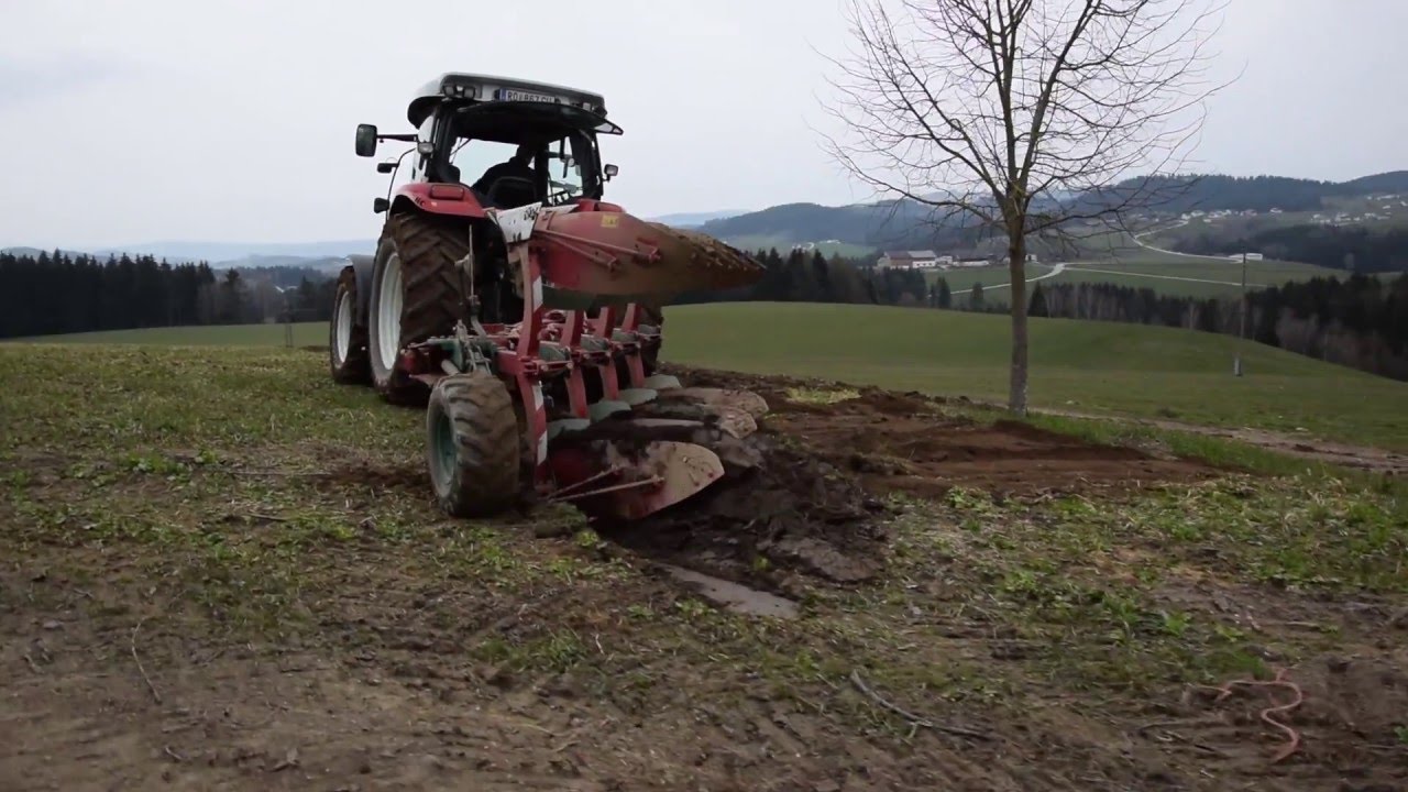 Begrünung pflügen | Steyr Profi 4110 Classic | Kverneland 150S Variomat