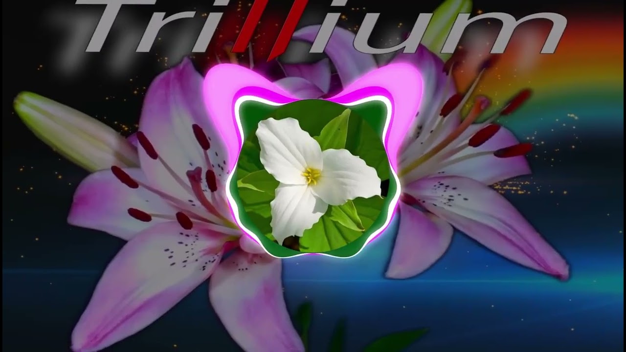 Trillium - S3RL feat Sara (super slowed)