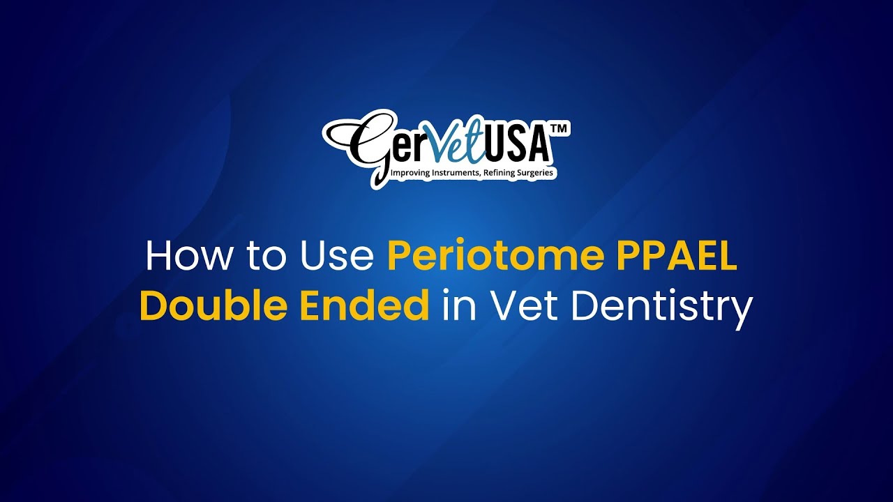 Precision PDL Cutting with Periotome PPAEL - Demonstrated by Dr. Bruce Whittle, DVM | GerVetUSA