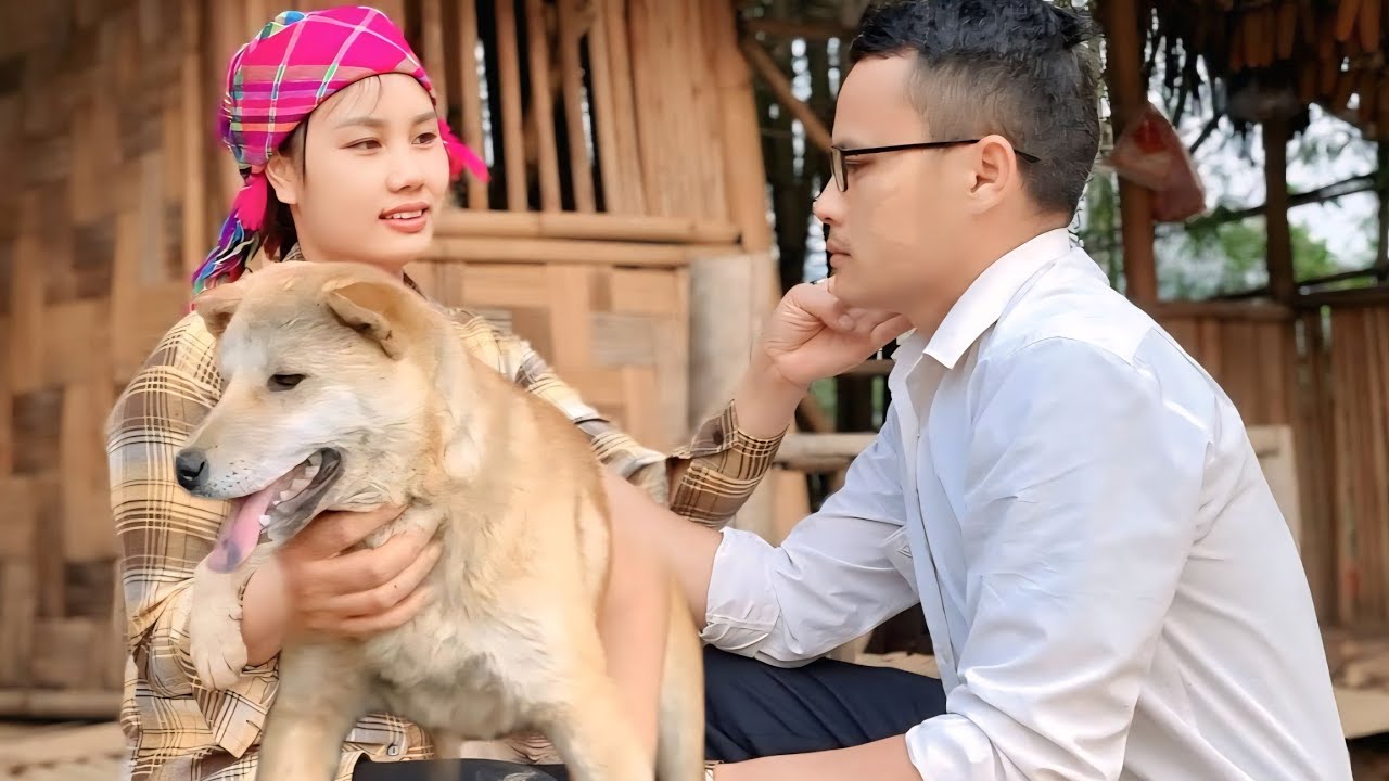 CEO Jack stayed in a bamboo house in the forest where a poor girl treated his wounds.