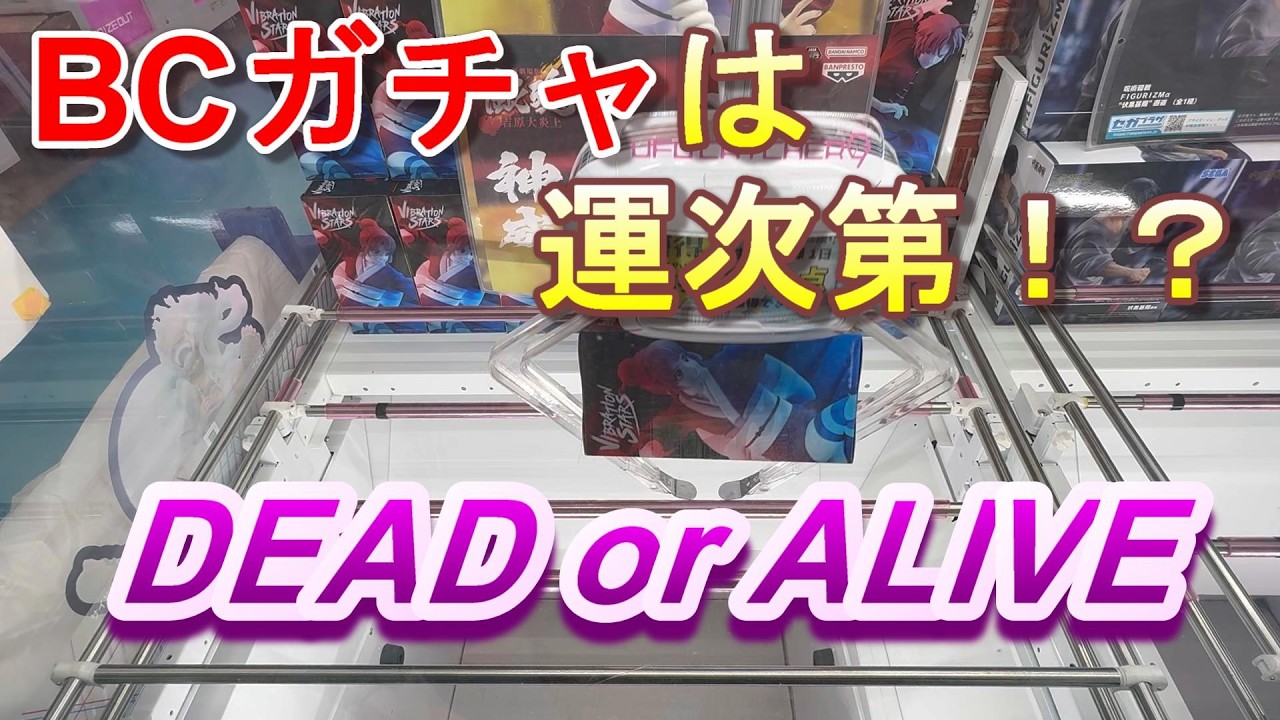 【ありすとのクレゲ日記】BCガチャは運次第！？