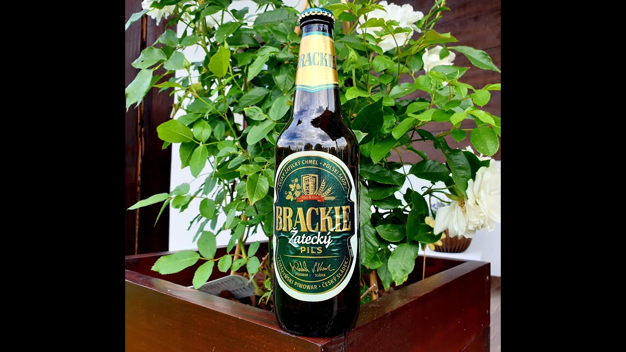 🍺Brackie Žateck&yacute; Pils🍺