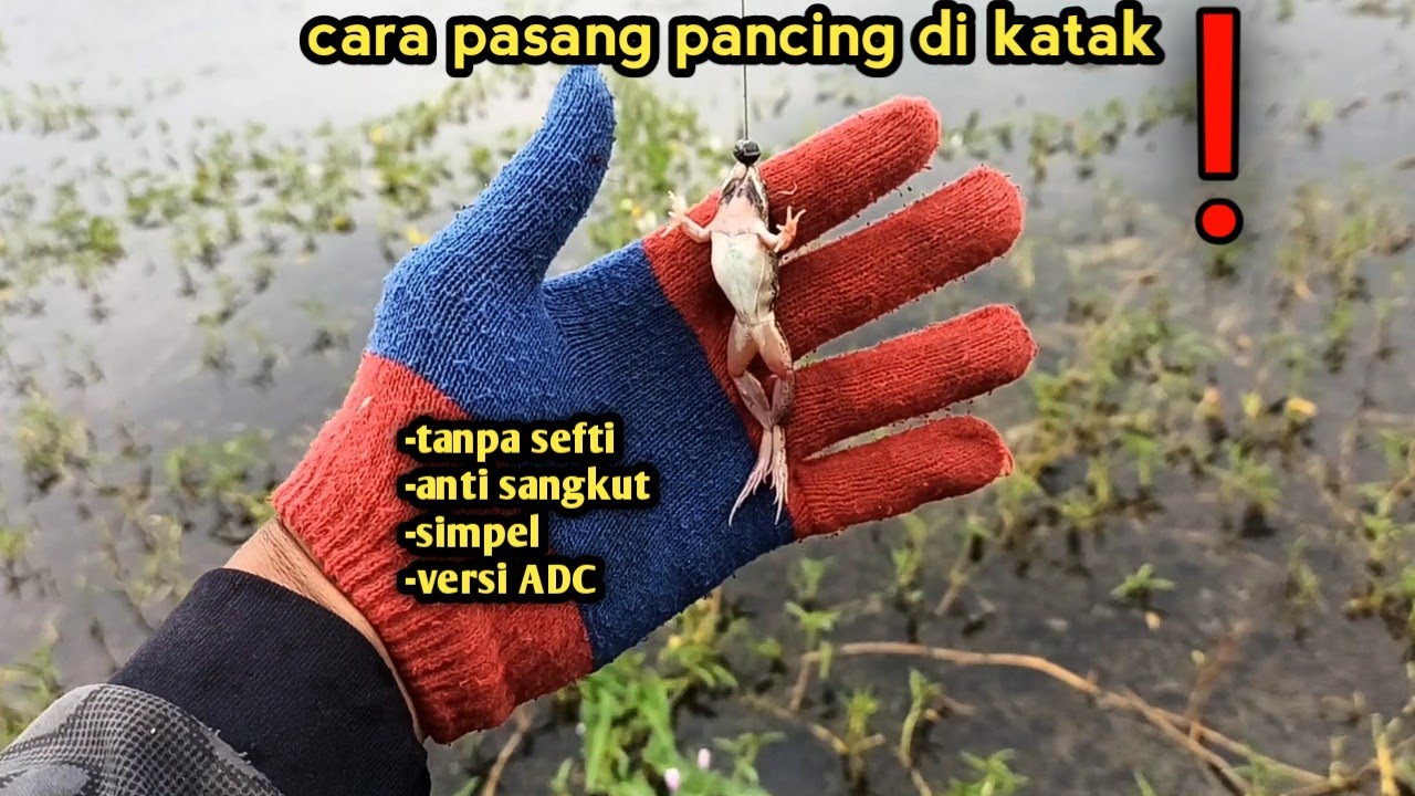 cara pasang pancing di KATAK tanpa Safety anti nyangkut‼️versi ADC