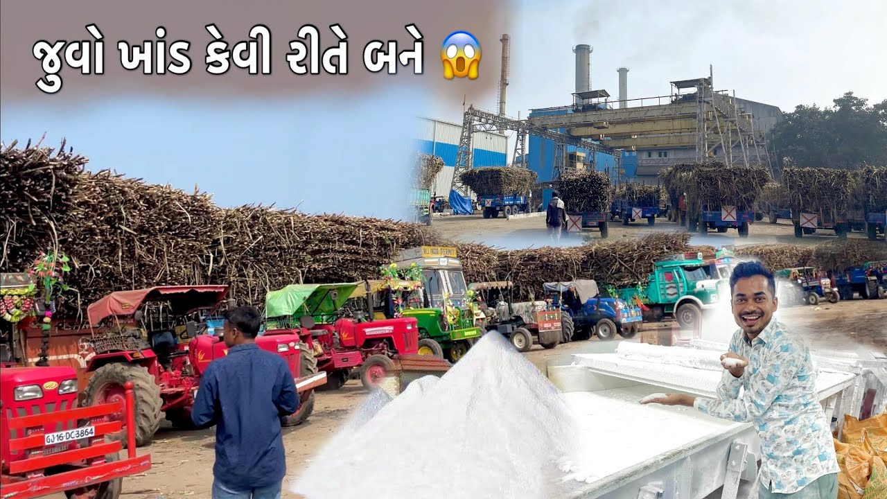 Sugar Factory Dharikheda | ખાંડ કેવી રીતે બને 😱 | Narmada Sugar Factory | Khand Factory