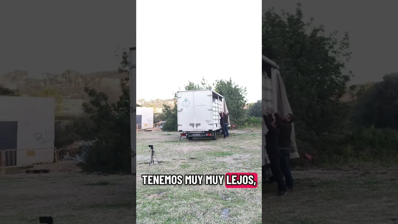 Entrenamiento de las palomas de Castellón de la plana en Altafulla Tarragona 