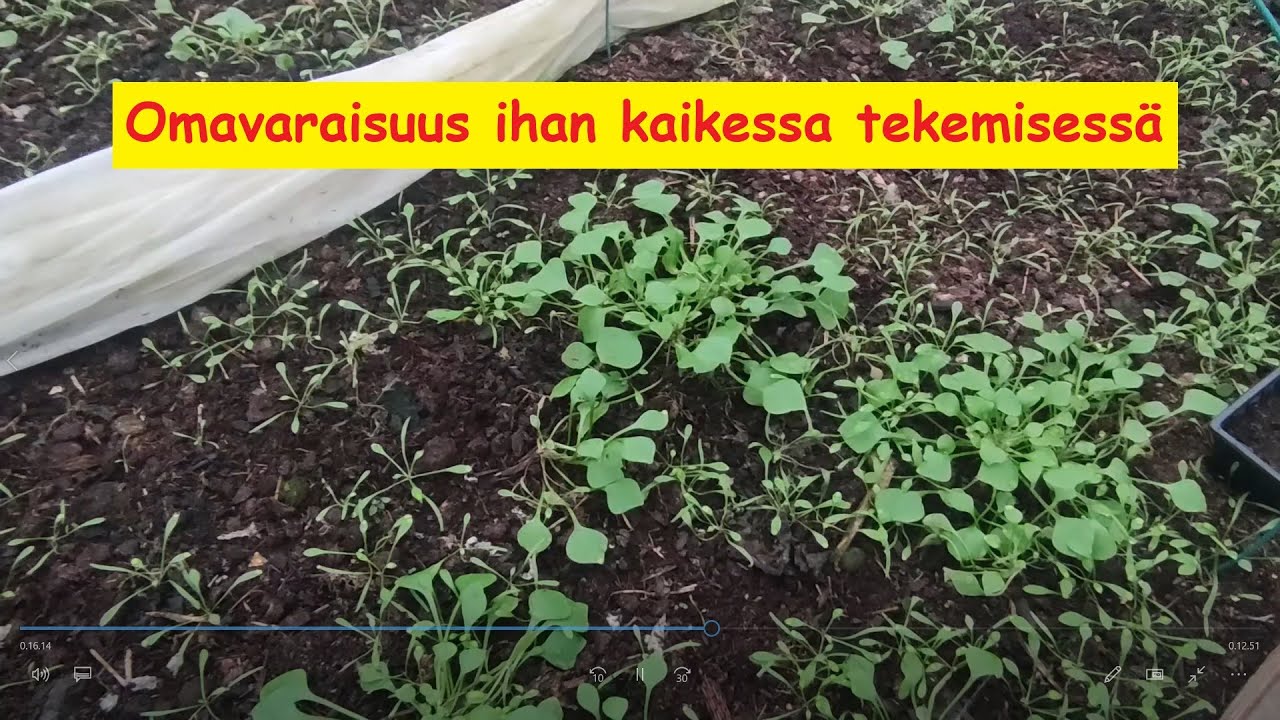 Kaikessa on omavaraisuus