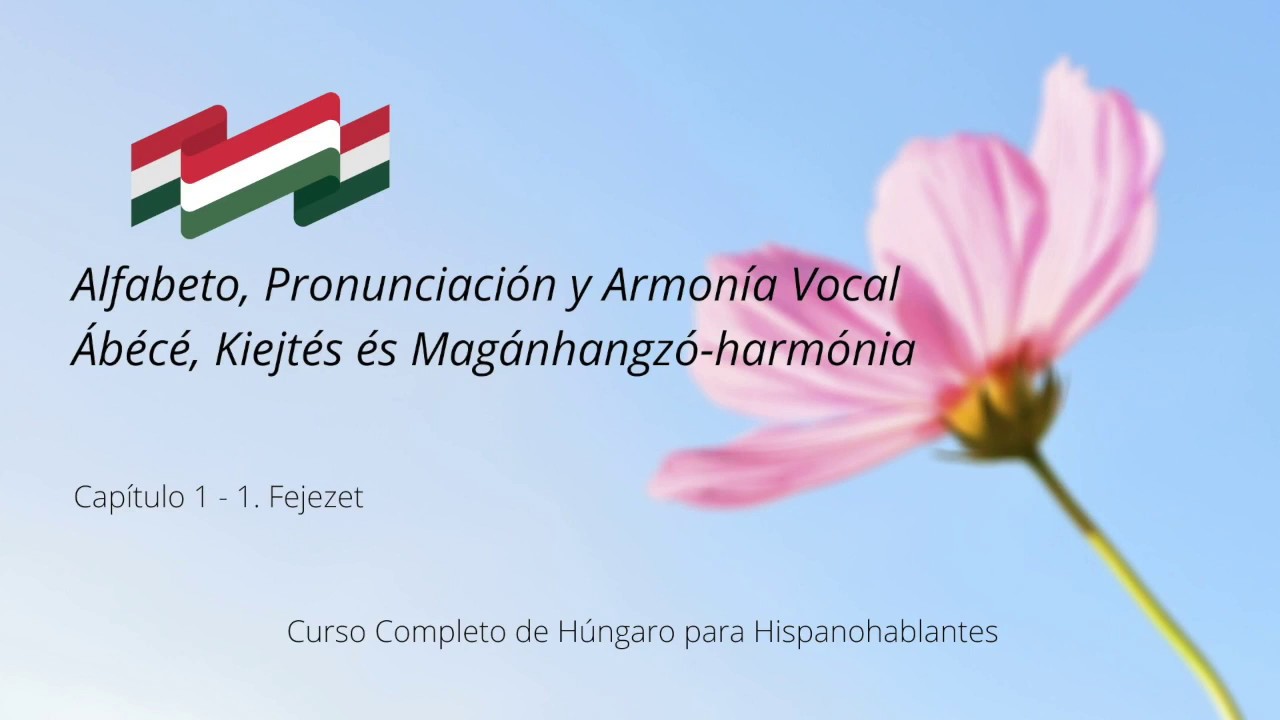 Capítulo 1 - Alfabeto, Pronunciación y Armonía Vocal