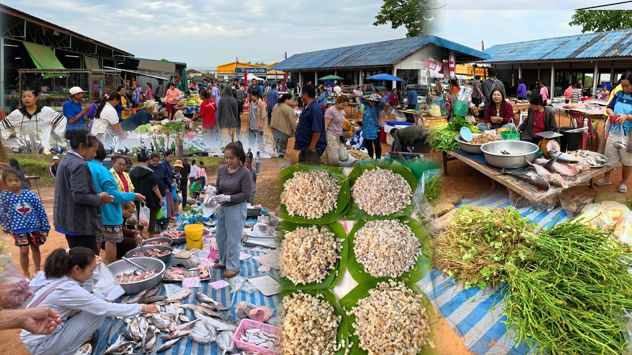 วิถีชาวบ้าน ตลาดนัดชุมชนโพธิ์ชัย ทุกเช้าวันศุกร์ | อาหารป่า ปลาน้ำโขง แมงจินูน ไข่มดแดง