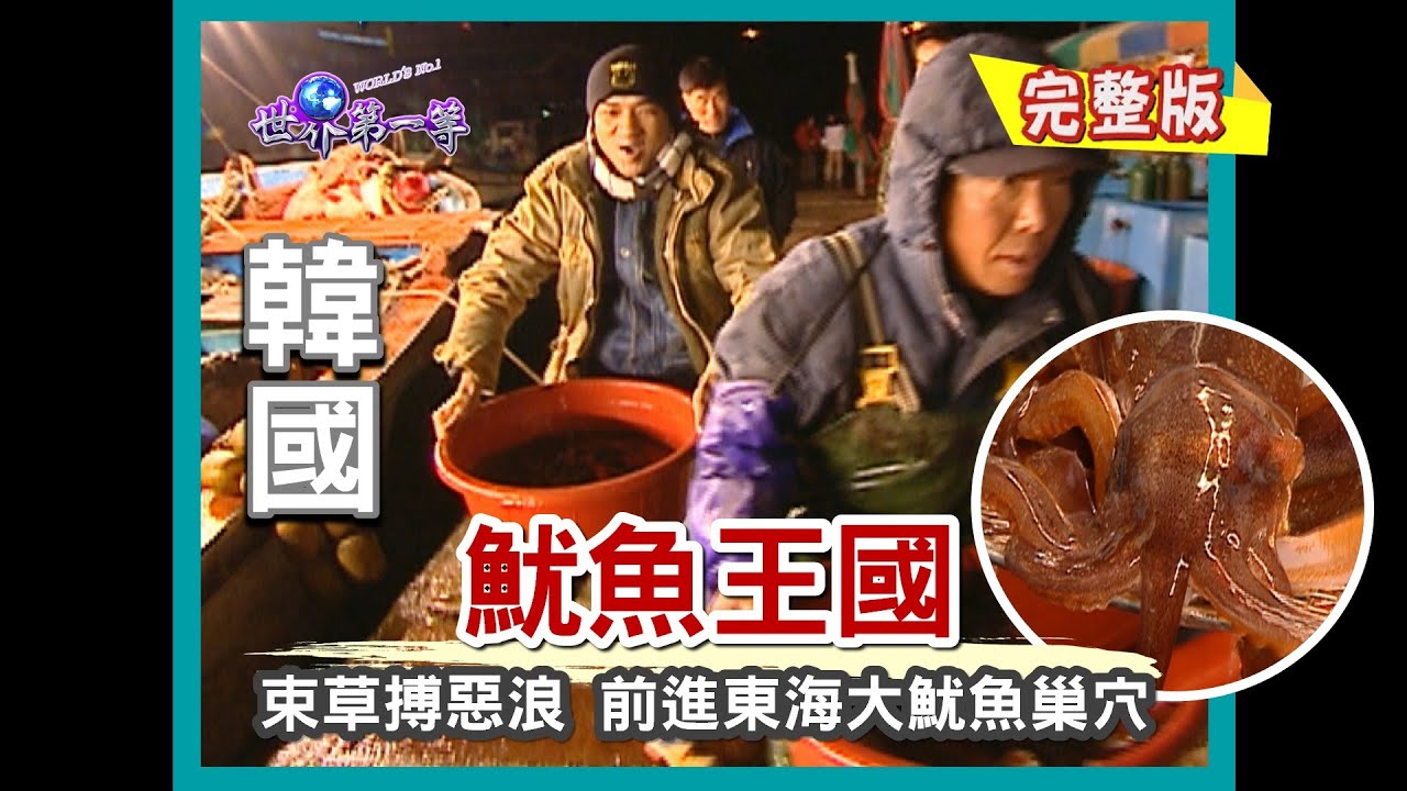 【韓國】魷魚王國 征服東海巨浪挖掘大魷魚巢穴（曬魚維生黃太村／束草魷魚村／魷魚加工廠／魷魚米腸）｜《世界第一等》75集小馬完整版