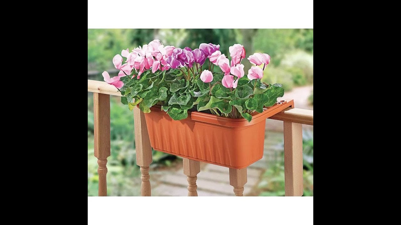 Top 3 Best Railing Planters Reviews In 2024