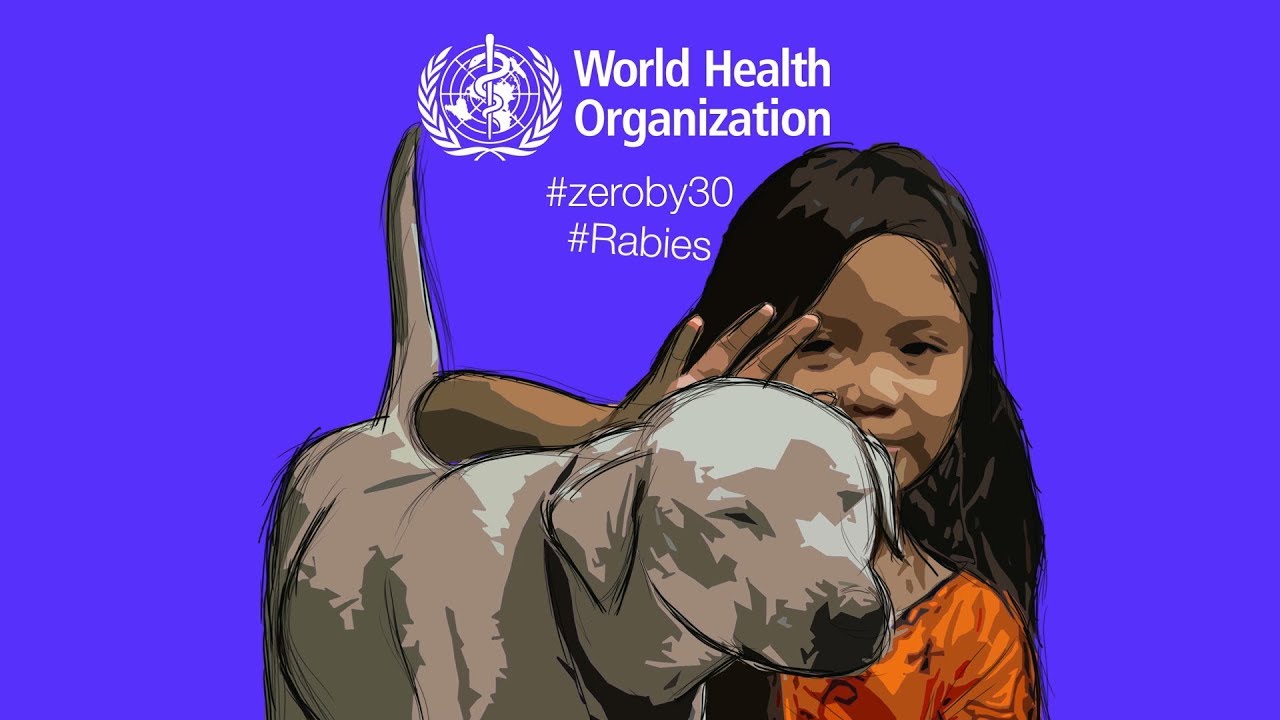 Rabies - our time to act is now