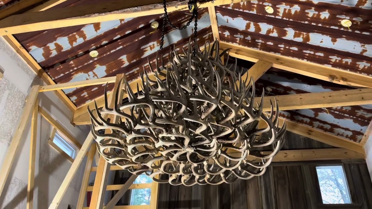 Whitetail Deer Antler Chandelier Install in Hannah&rsquo;s House by Custom Antler Designs!