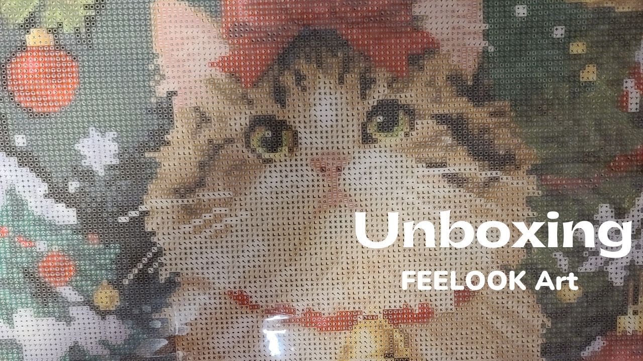 Unboxing  du diamond painting Jingle de la marque FEELOOK Art et organisation des diamonds