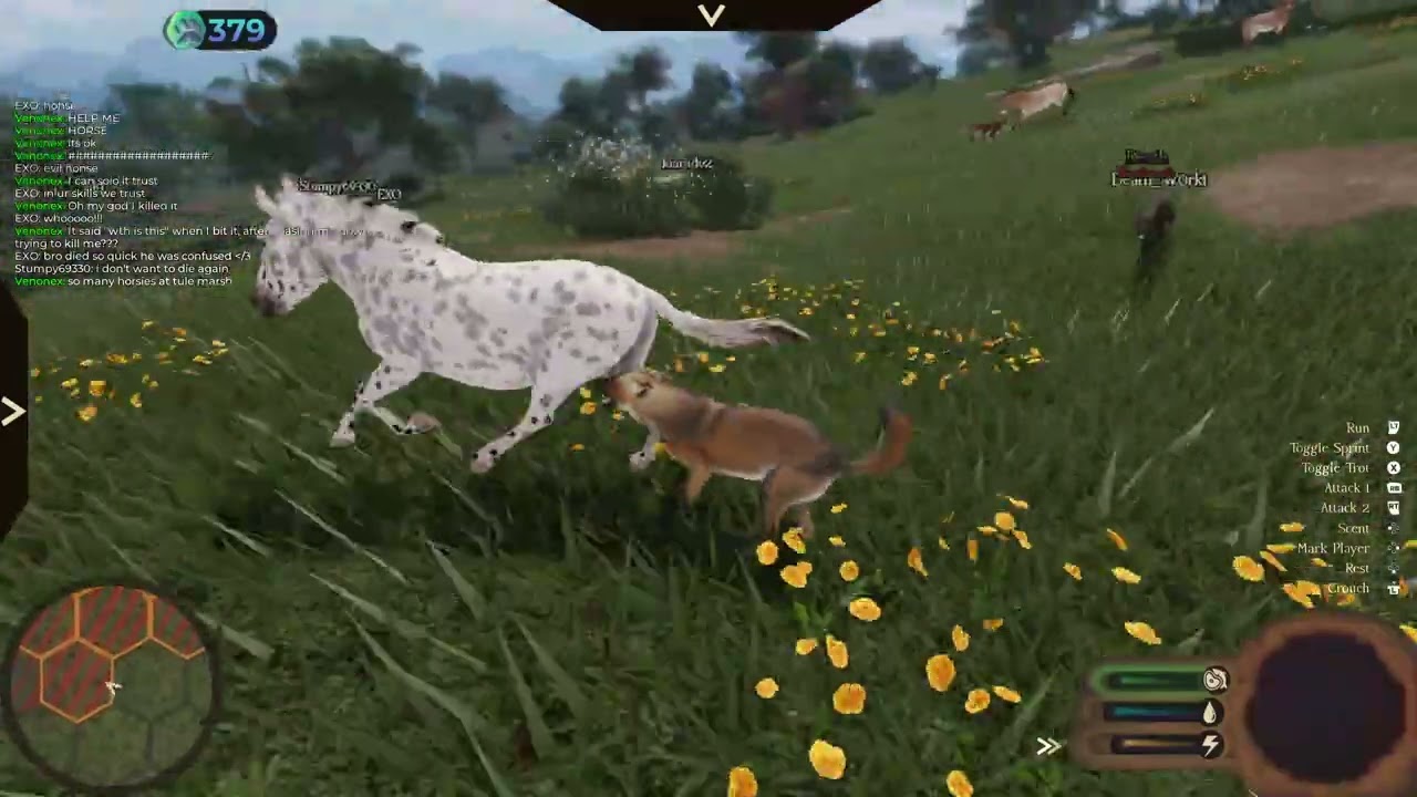 Dire Wolf Hunt on the Western Horse