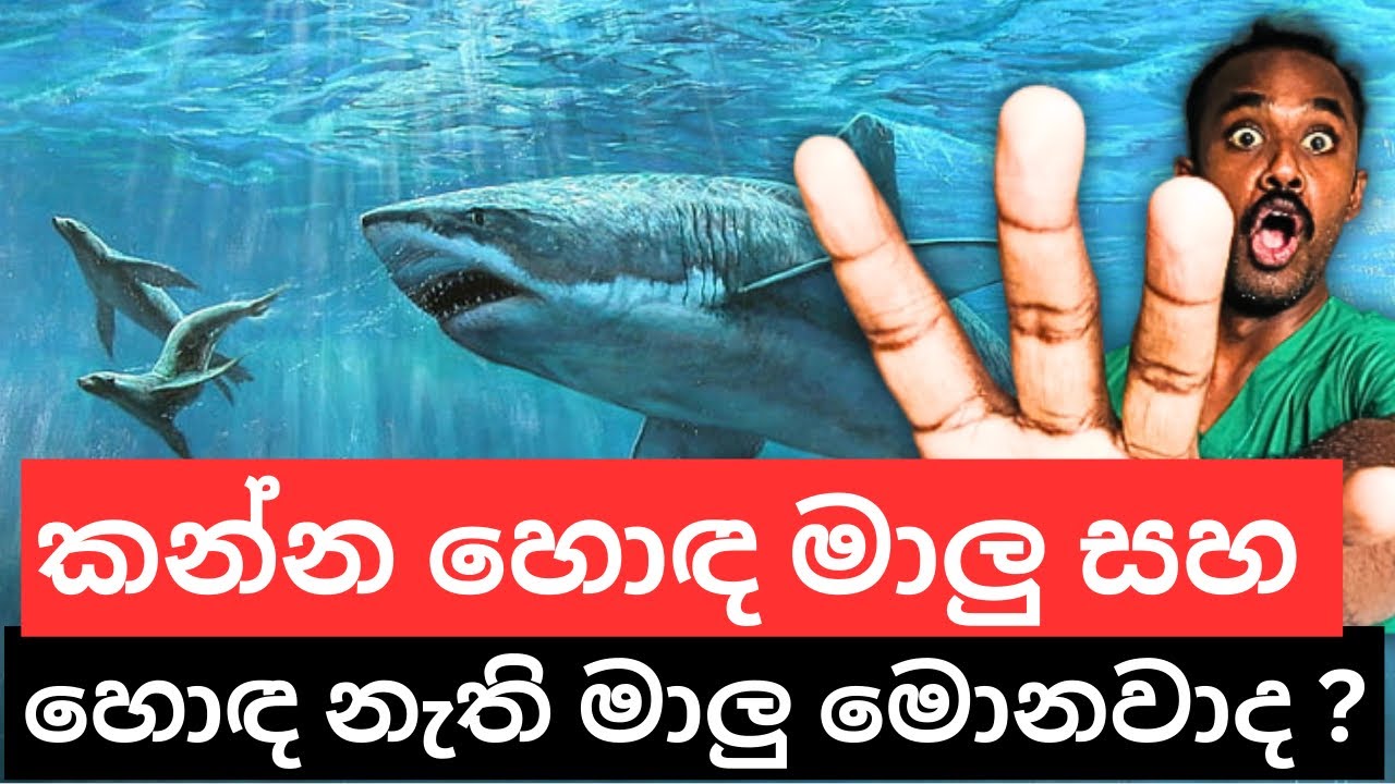 කෑවොත් මැරෙන්න වෙන මාලු වර්ග ගැන හරියටම දැනගමු !