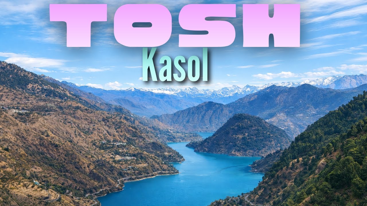 Tosh Village Full Tour | Best Alternative to Kasol in 2025 | Digital nomad ep:4 | budget travel