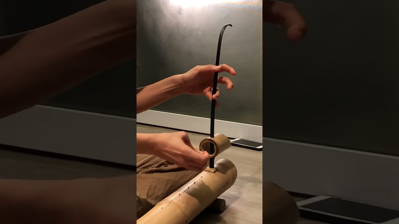 great sound of traditional Vietnamese lute! đ&agrave;n bầu