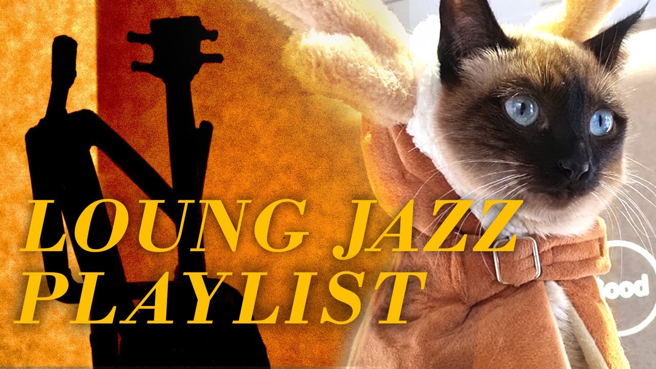 𝐏𝐥𝐚𝐲𝐥𝐢𝐬𝐭.보리는 아마 재즈를 좋아할거야｜Lounge Jazz