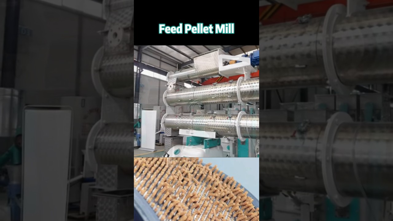 Feed Mill Machine for Making Poultry and Chicken Feed Pellet - Herm Machinery 