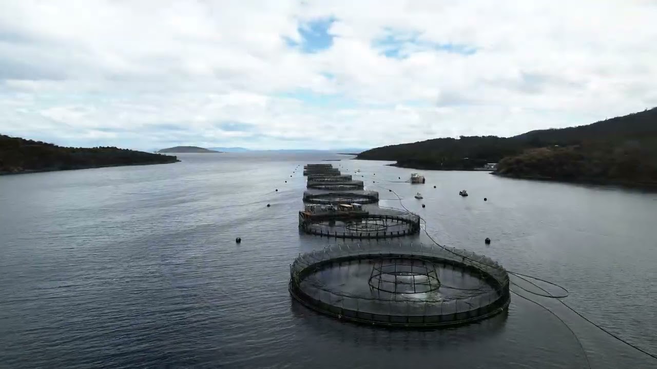 Tasmania Leftover Bits (A). Music by Weaver Of The Loom 