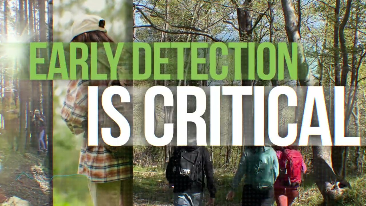 Saving Greece&rsquo;s plane trees: Digital technologies for early detection of Ceratocystis platani