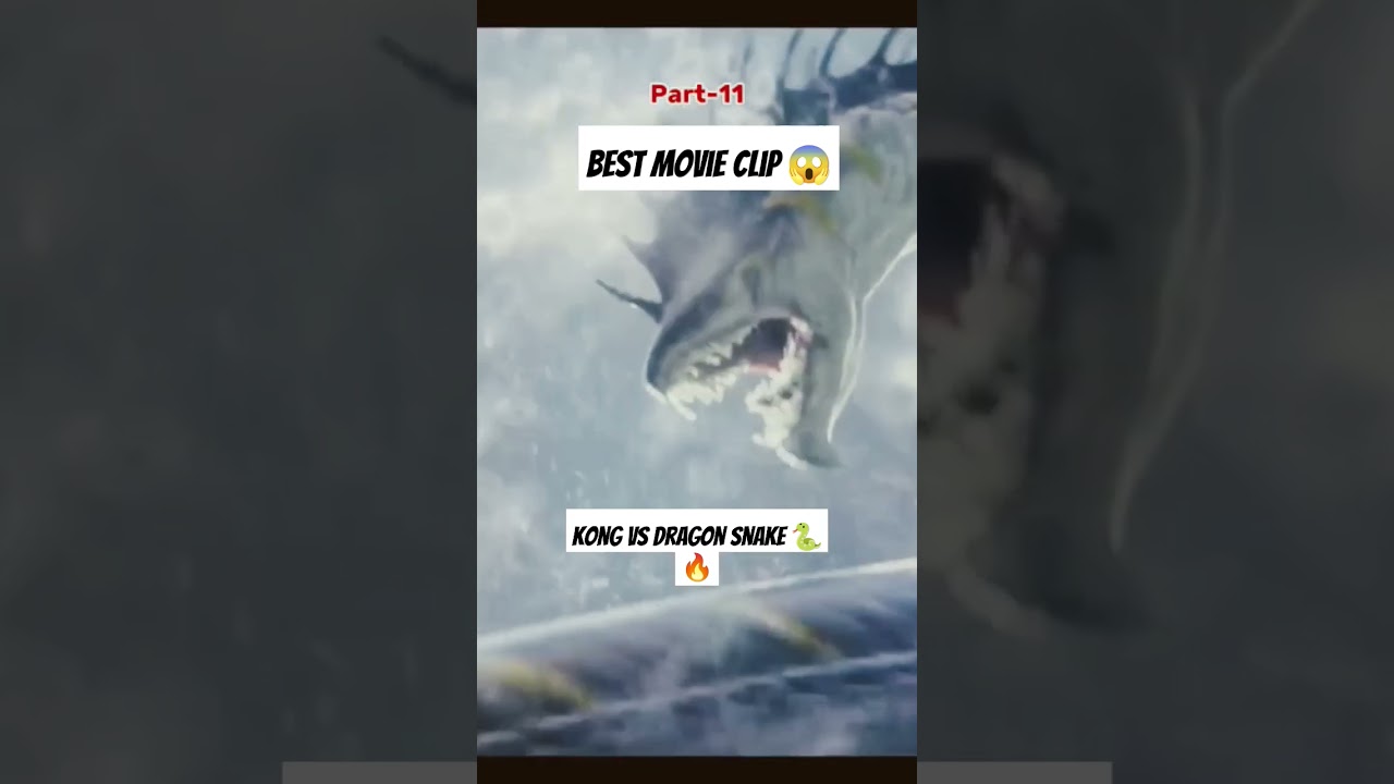 New action movie 2024, Kong vs dragon snake 🐍👊 