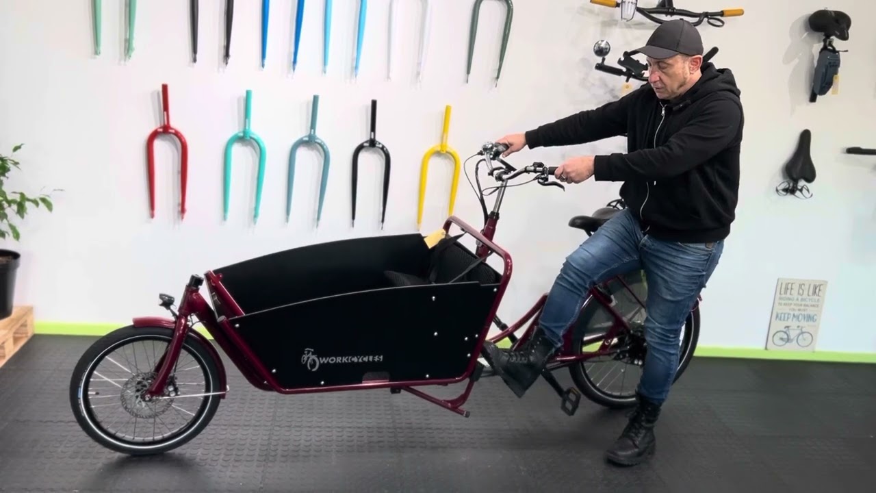 Bakfiets electric cargo bike