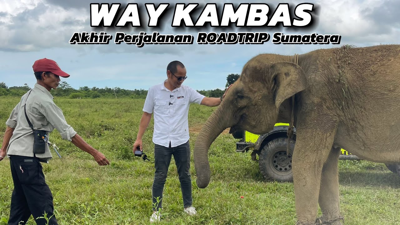 AKHIR PERJALANAN ROADTRIP PULAU SUMATERA | MENGUNJUNGI GAJAH DI TAMAN NASIONAL WAY KAMBAS LAMPUNG