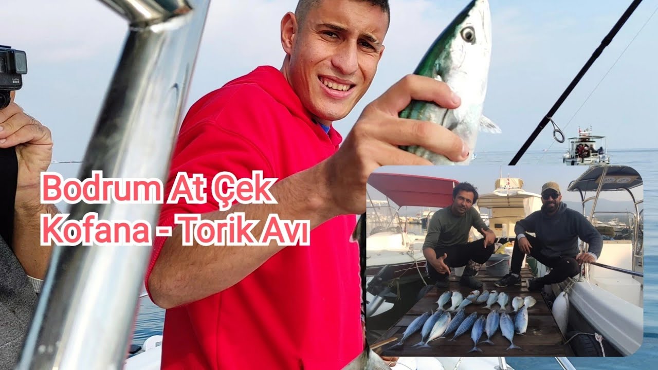 BODRUM, KOFANA, TORİK, ÇUPRA Avı Keyifli adrenalin dolu av Bu balıklar çok güçlü !! Beklenen Video 👍