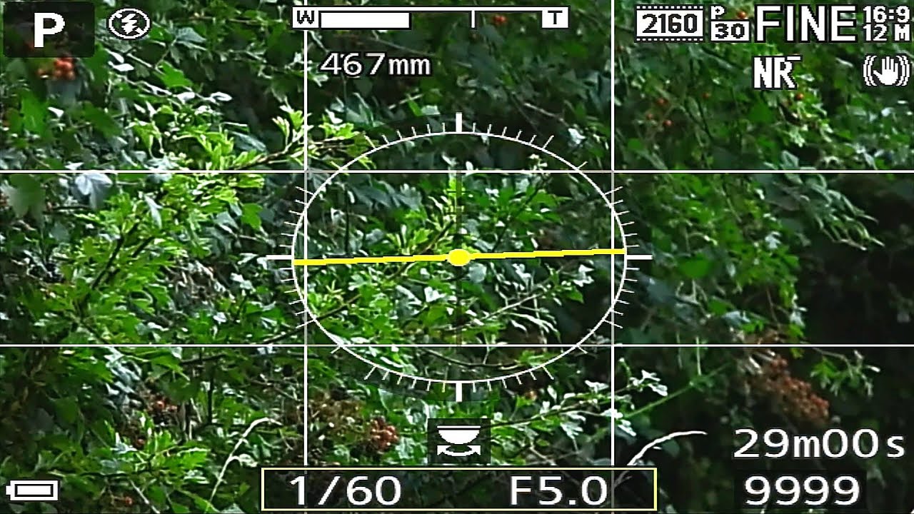 Nikon P1000 live HDMI output test