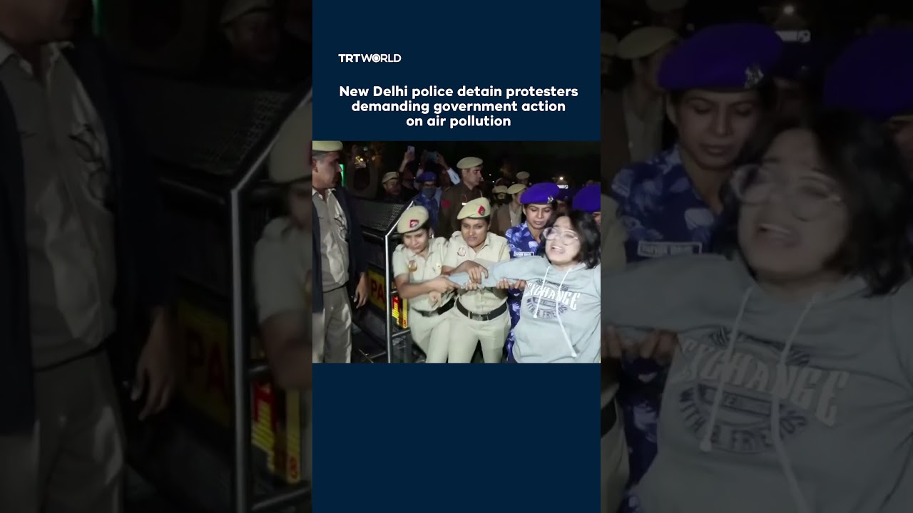 New Delhi police detain protesters demanding government action on air pollution