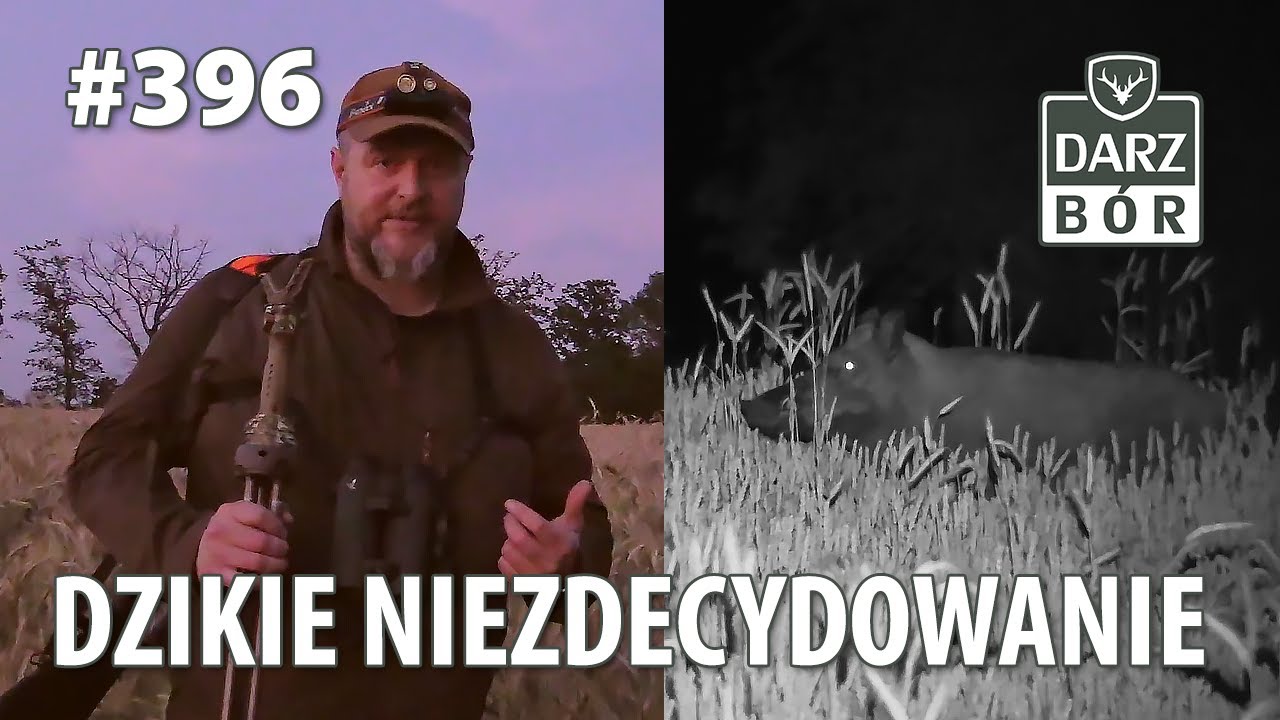 Darz Bór odc 396 - Dzikie Niezdecydowanie
