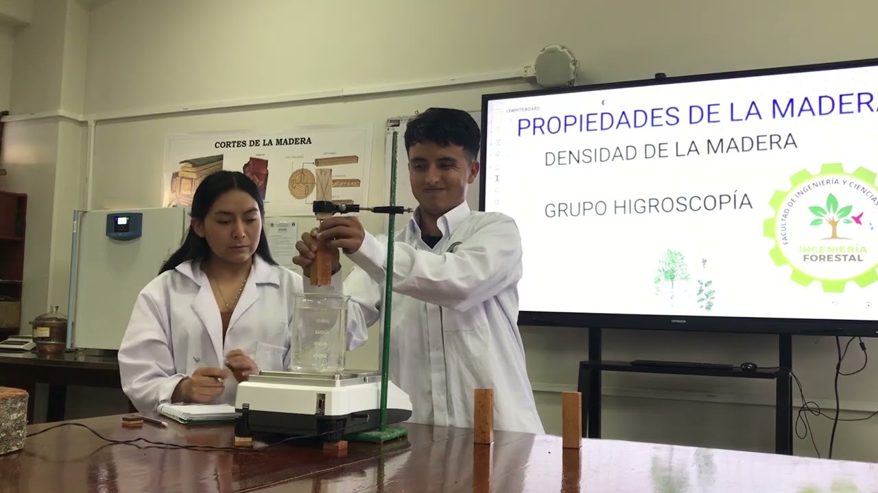 Densidad de la madera (Alnus Acuminata)