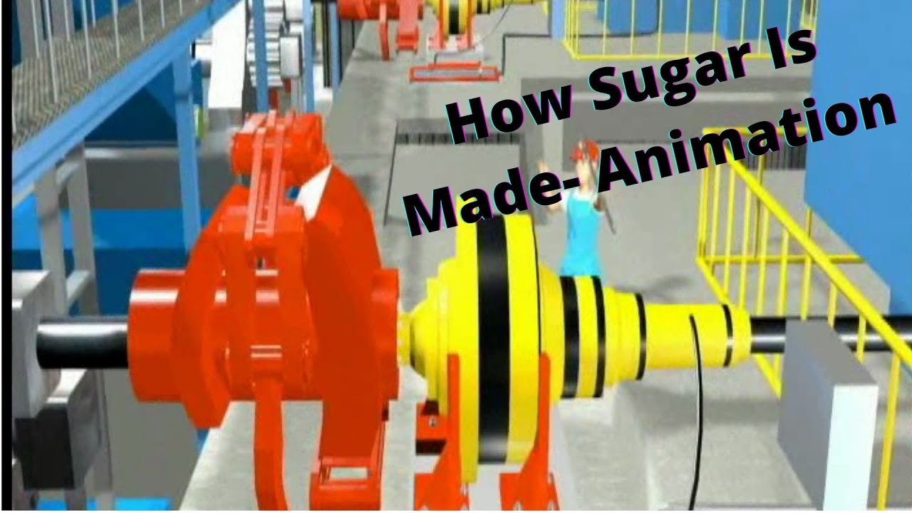 Sugar Factory Animation Volume-1