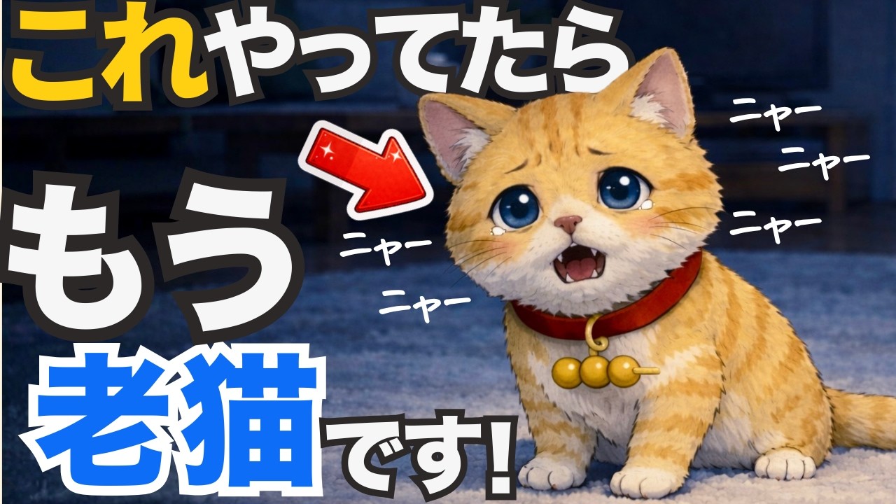 【シニア期の始まり？】猫が老化すると出やすい行動･特徴7選【猫の雑学】
