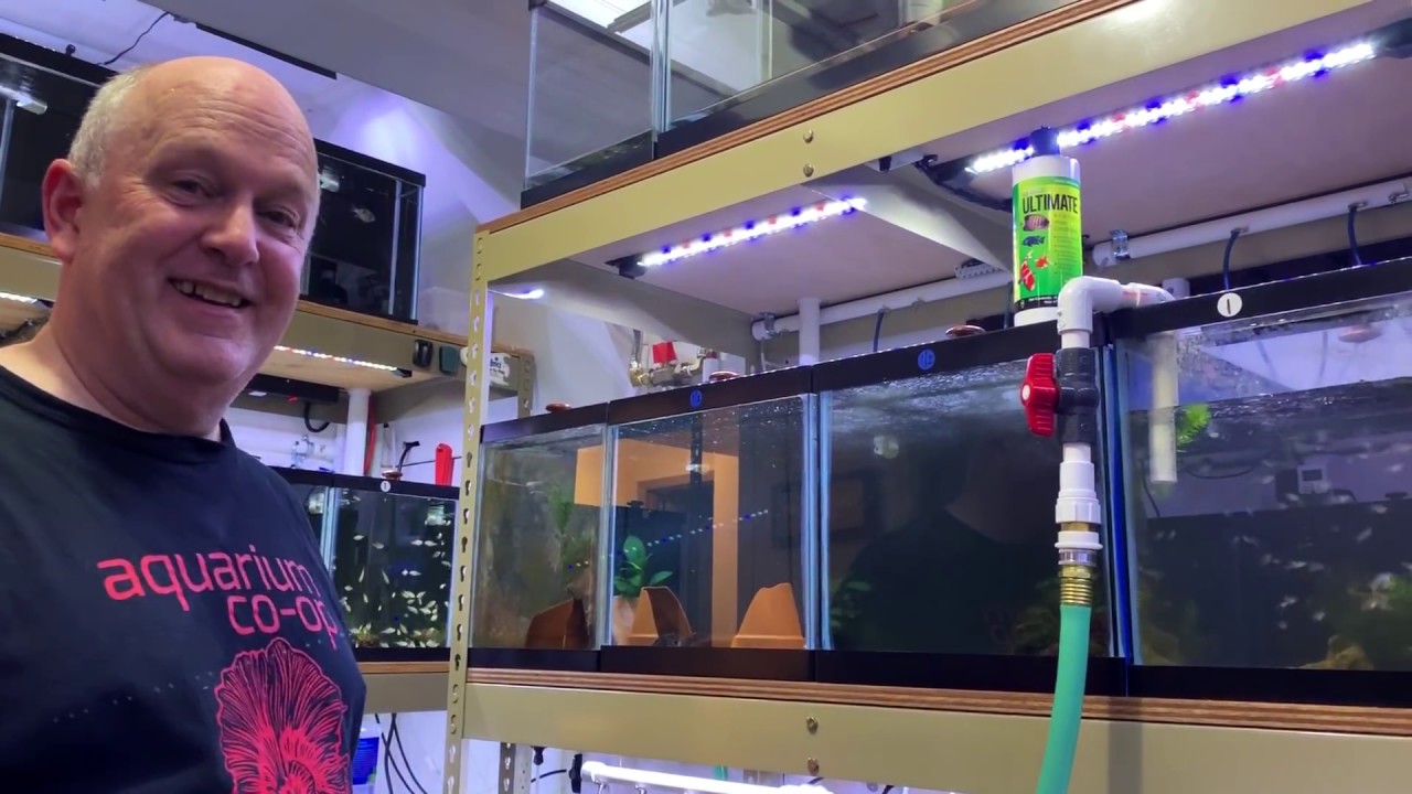 IT BROKE! Tearing Down [Dean's Fish Room]