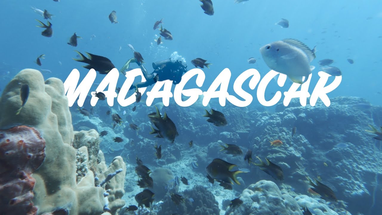 The Blue Hour - Madagascar Diving 2024 Part I