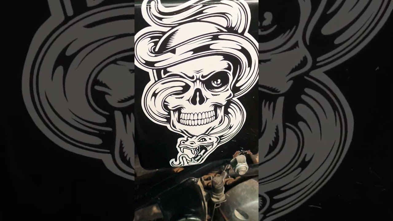 skull with snake