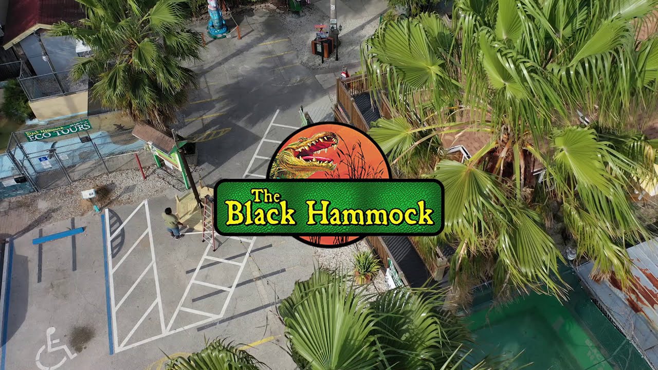 Black Hammock Adventures & Airboat Rides