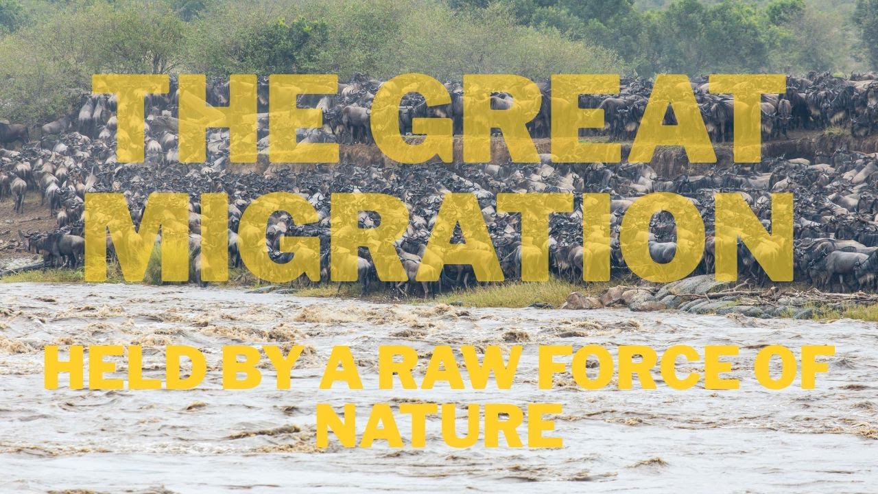 The Great Migration   Held by a Raw Force of Nature