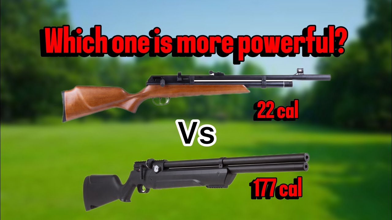 Power Showdown: Beeman Raider .22 Cal vs. Air Venturi Avenger .177 Cal Which Dominates? (Part Three)