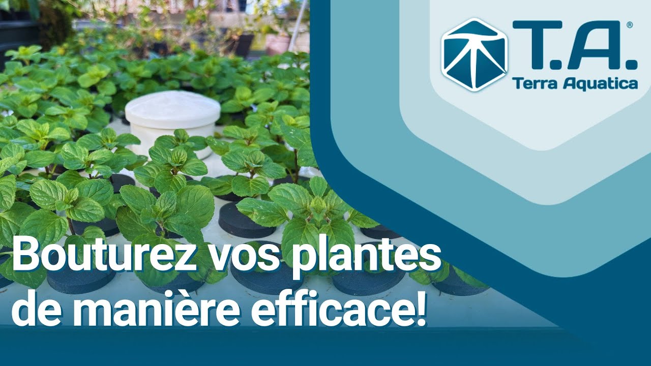 Notice de Montage Hydroclonner 72 - Terra Aquatica, bouturez vos plantes de mani&egrave;re efficace.