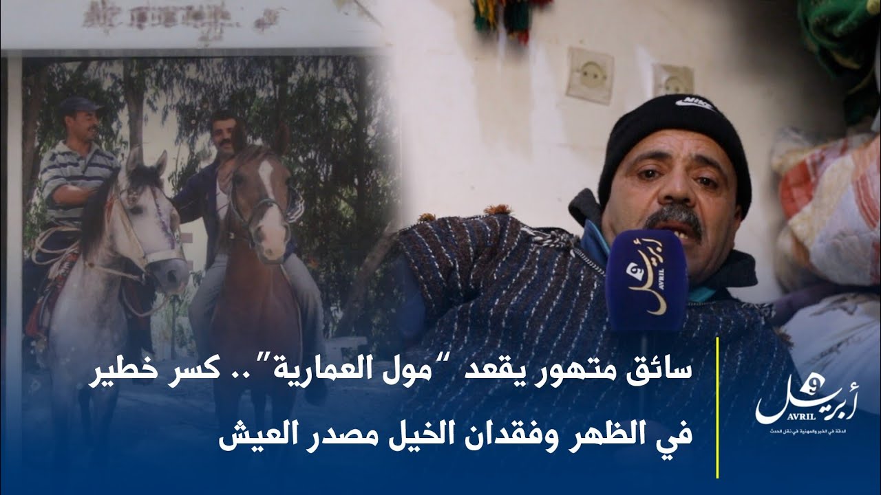 سائق متهور يقعد “مول العمارية”.. كسر خطير في الظهر وفقدان الخيل مصدر العيش