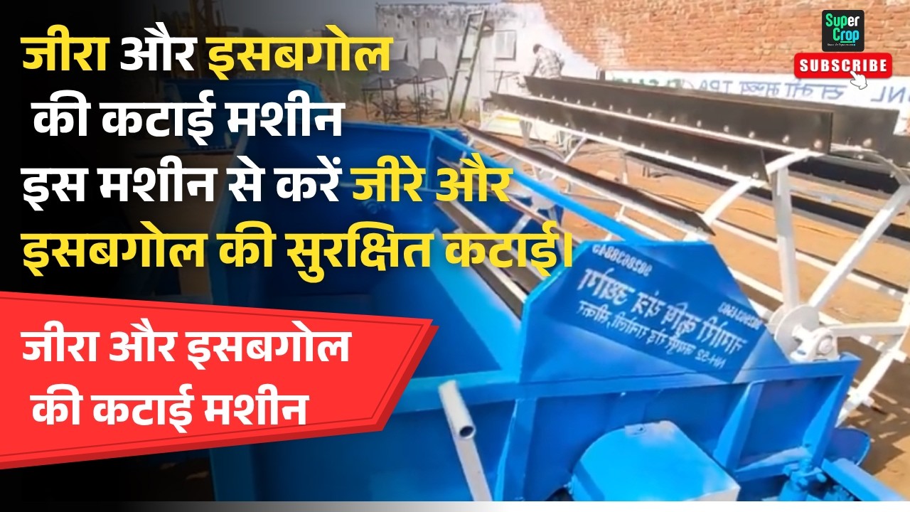 जीरा और इसबगोल की कटाई मशीन 👉🏻इस मशीन से करें जीरे और इसबगोल की सुरक्षित कटाई।