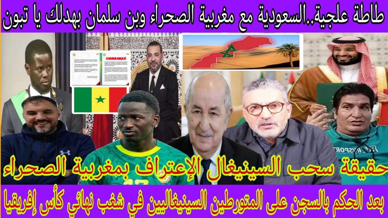 طاطة علجية يفضـ.ح تبون بعد طـ.رد قناة العربية لصحفيين جزائريين/الإتحاد السينيغالي يرد بعد حكم القضاء