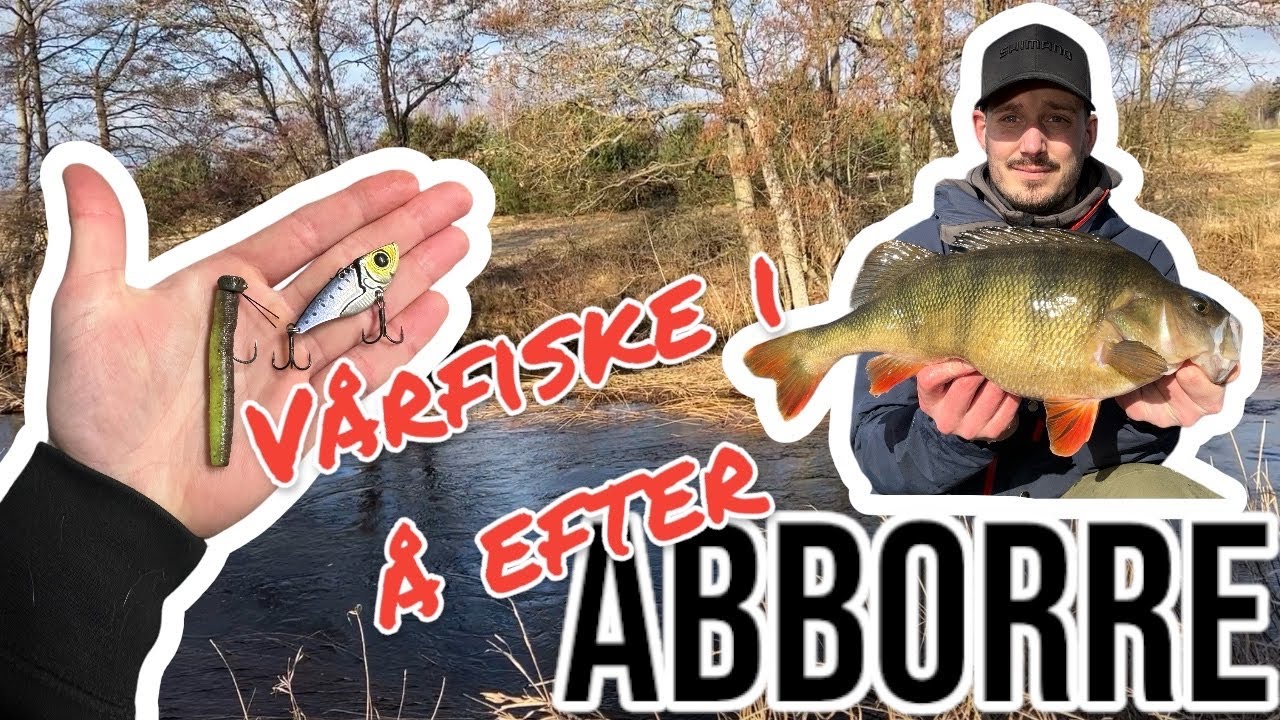 ABBORRFISKE i STRÖMMANDE VATTEN tidig VÅR - mina TIPS