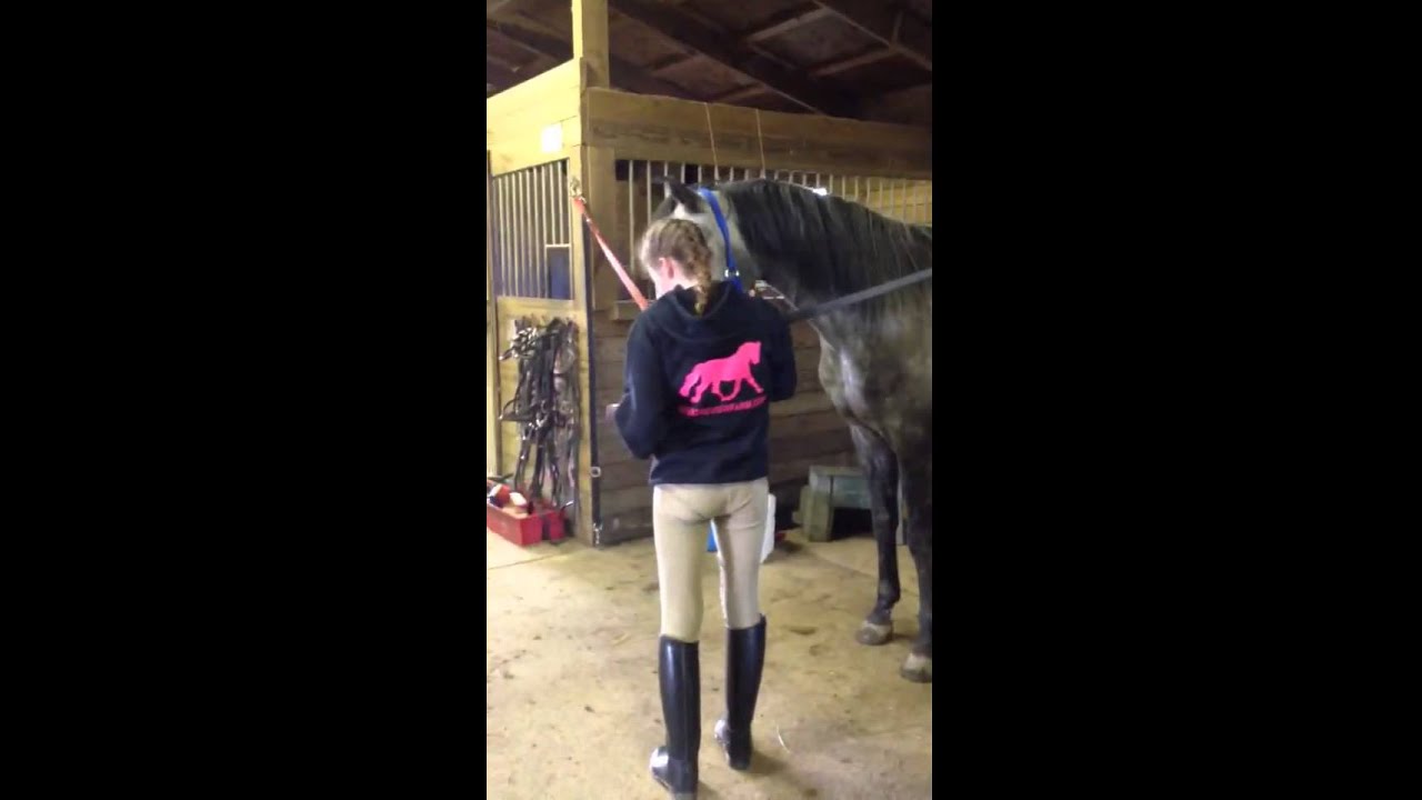 Maddie's Surprise Horse