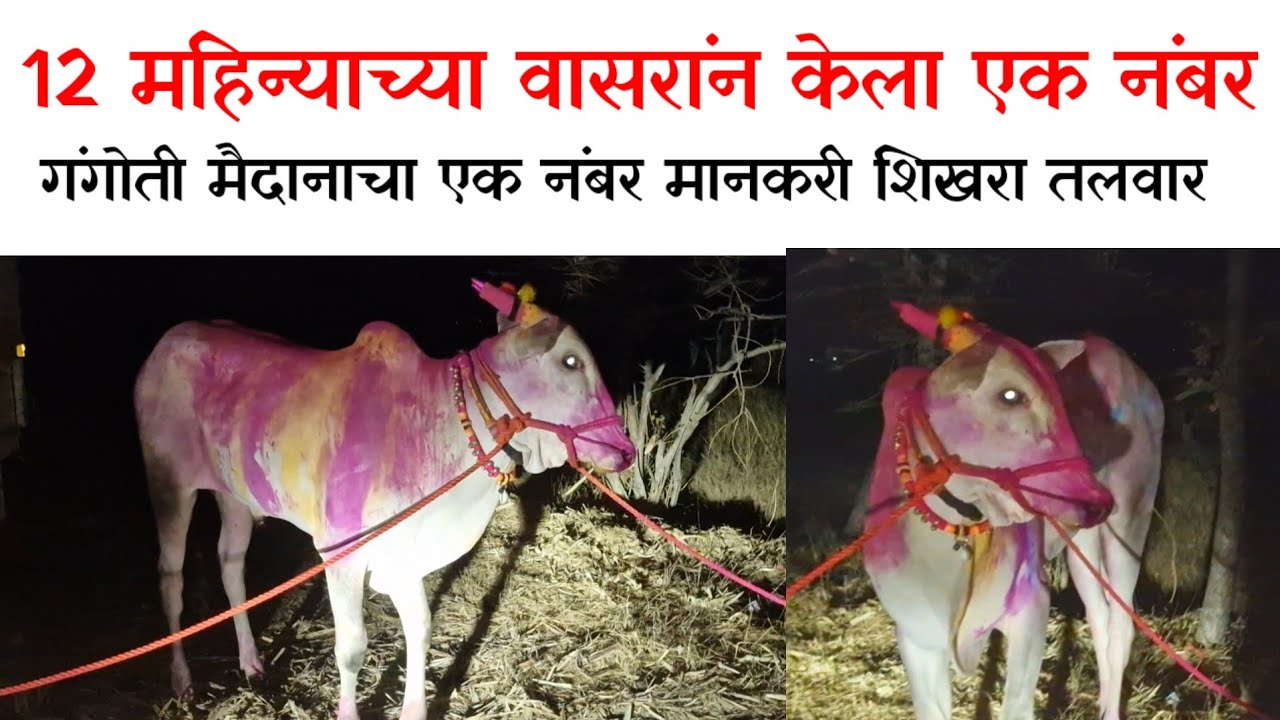 गंगोती मैदानाचा एक नंबर मानकरी शिखरा तलवार