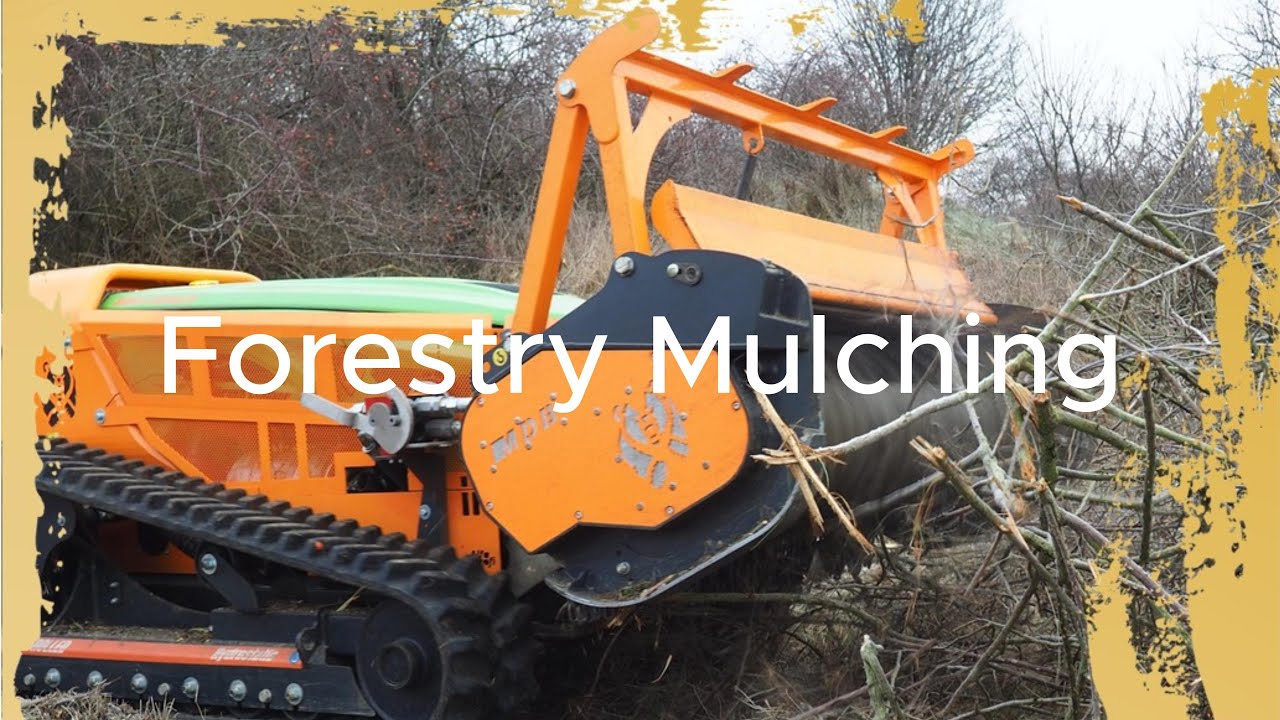 Cleaning up overgrown vegetation