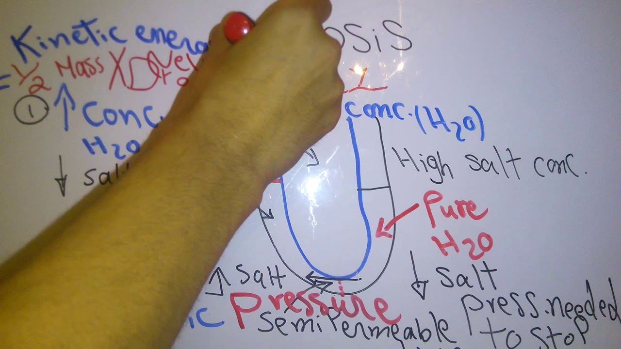 Introduction new system (Osmosis and Osmotic pressure) dr mohamed fayez